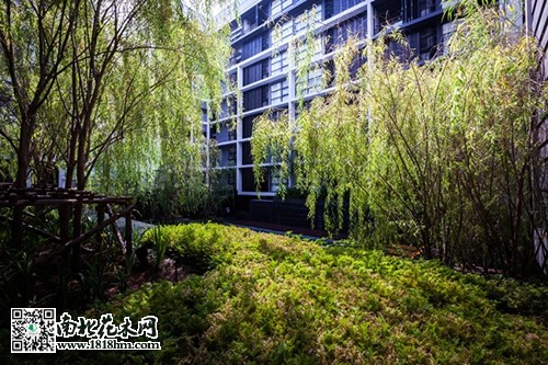 優(yōu)秀景觀工程設(shè)計(jì)欣賞6