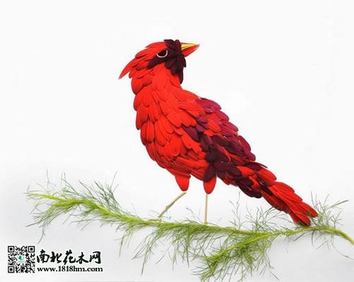 “花鳥”藝術品欣賞