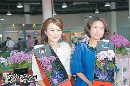 馬鞍山首屆花木交易博覽會(huì)