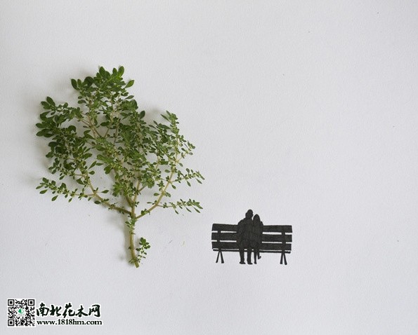 我能想到最浪漫的事，就是和你一起慢慢變老
