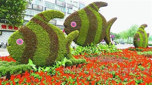 花卉景觀