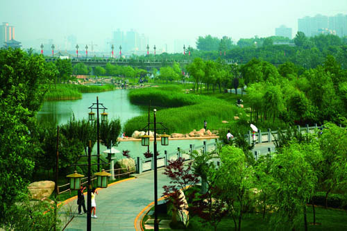 曲江國(guó)家森林城市創(chuàng)建
