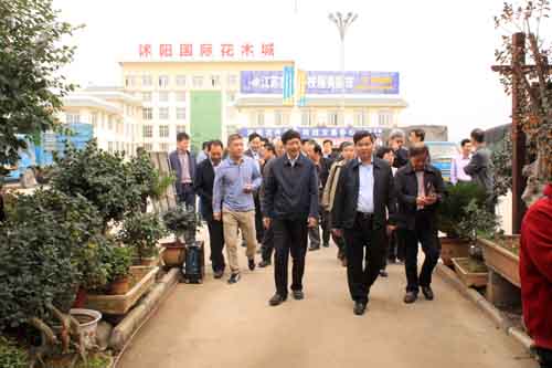 進入沭陽國際花木城盆景區(qū)