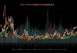 后疫情下巨變的花卉行情 | 2022全國(guó)花卉產(chǎn)銷形式分析會(huì)