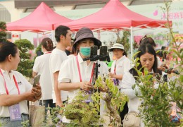 【圖集】第十屆沭陽花木節(jié)主播掠影